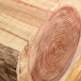 アメプログラム:丸太椅子作り